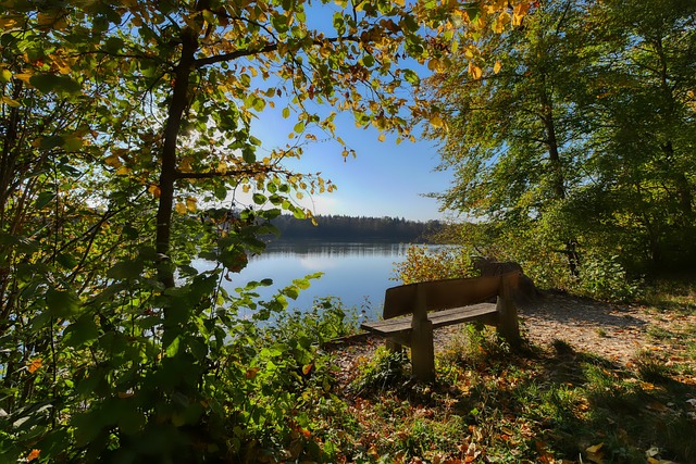 往往取決於 往往取決於