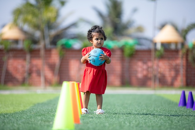 国家形象的 国家形象的