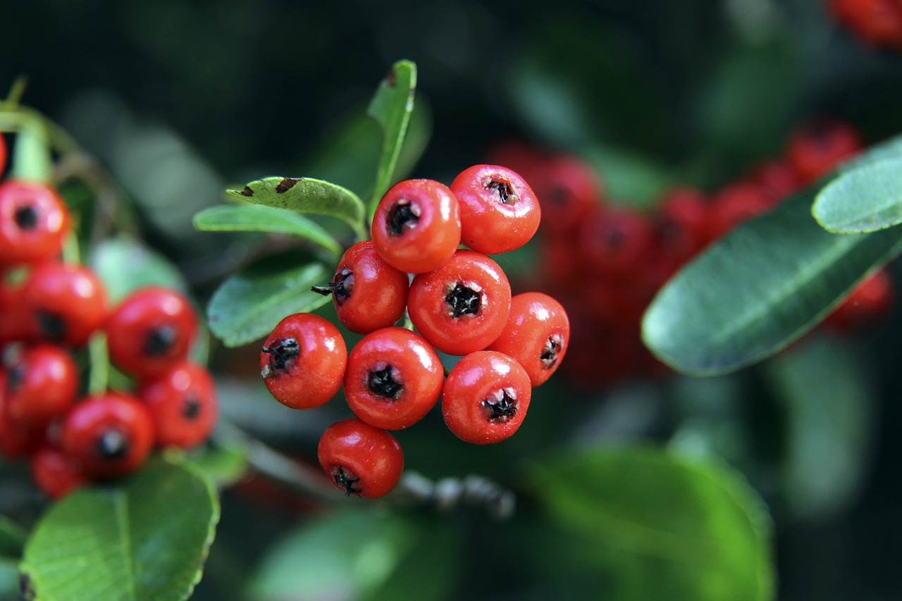 迫使后者多 迫使后者多