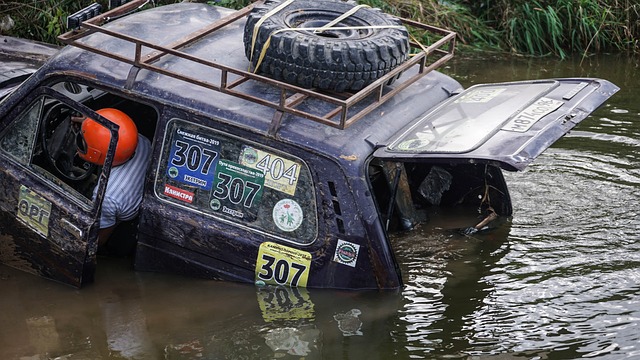 全球的关注 全球的关注